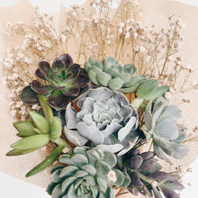 Load image into Gallery viewer, Evergreen Succulent Bouquet - Large