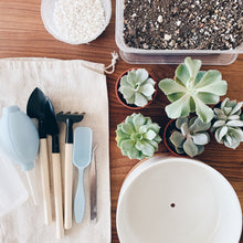 Load image into Gallery viewer, Basic Homegrown Kit