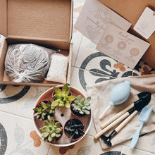 Load image into Gallery viewer, Basic Homegrown Kit