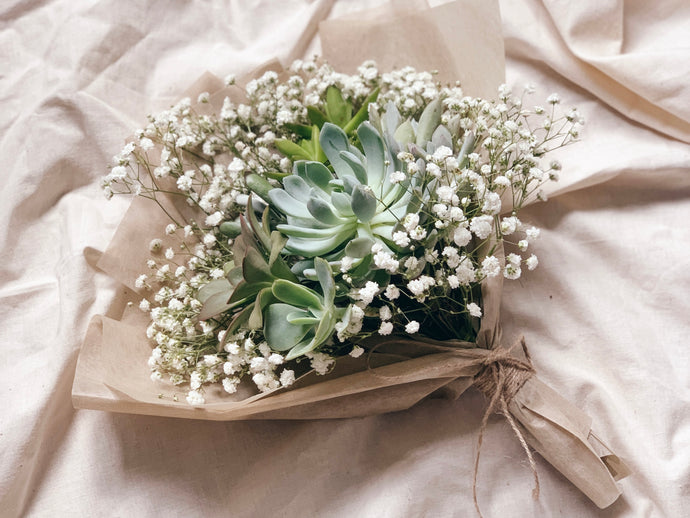INTRODUCING: Evergreen Bouquet with Succulents