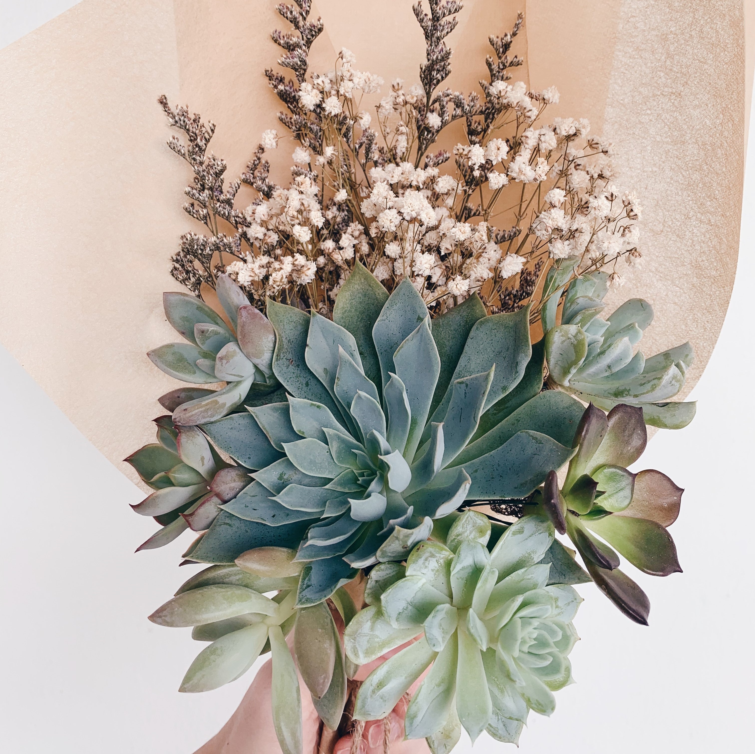 live succulent bouquet Evergreen Succulent Bouquet
