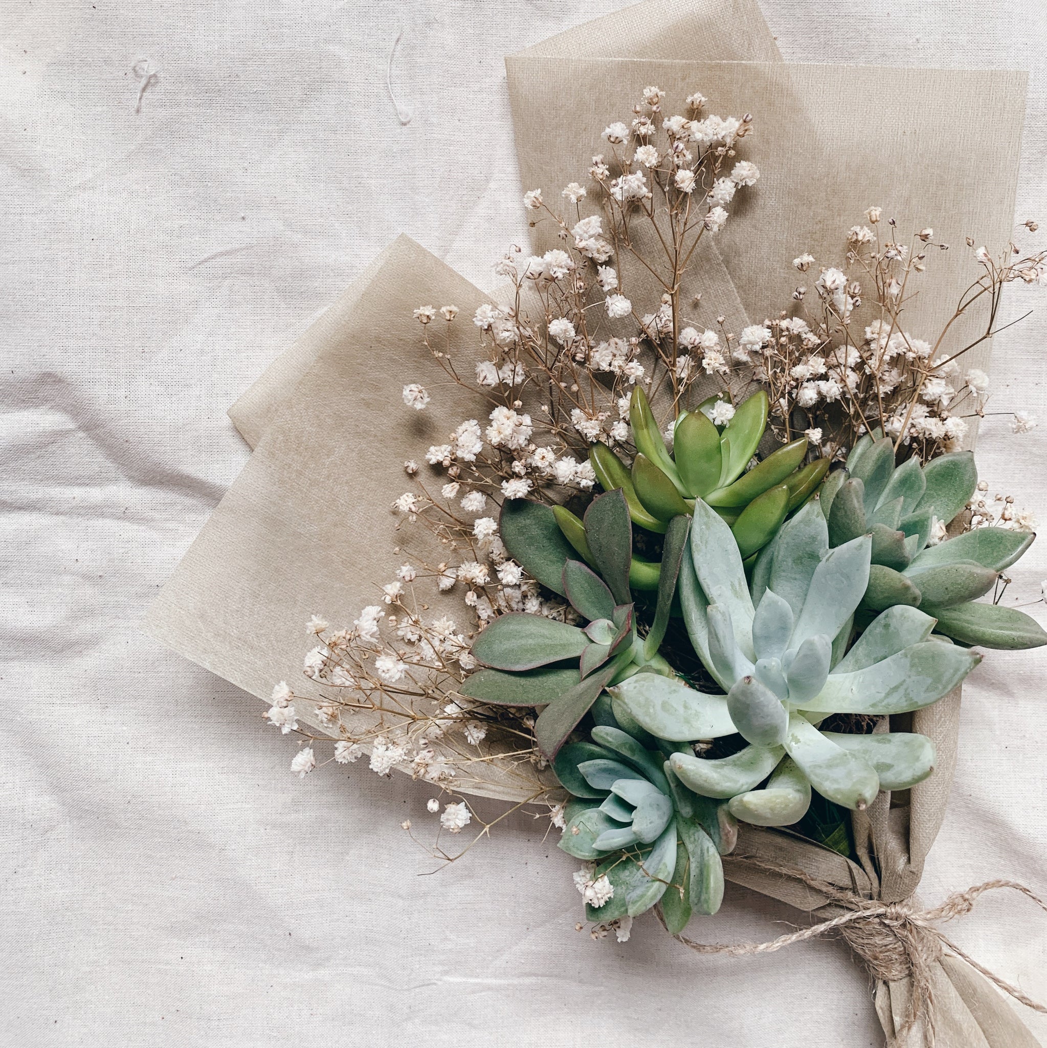 evergreen succulent Evergreen Succulent Bouquet