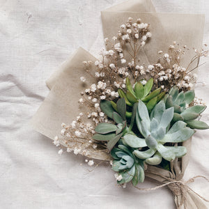 succulents evergreen Evergreen Succulent Bouquet