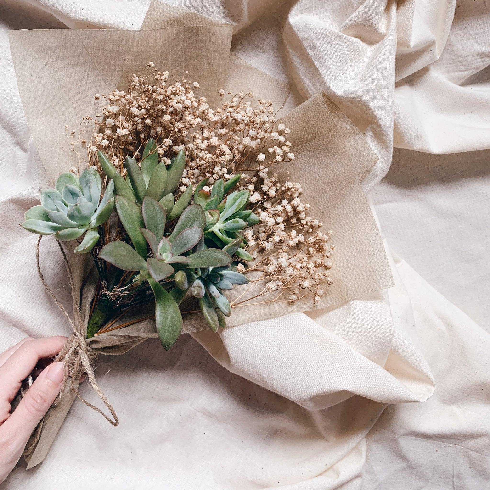 succulent boquet Evergreen Succulent Bouquet