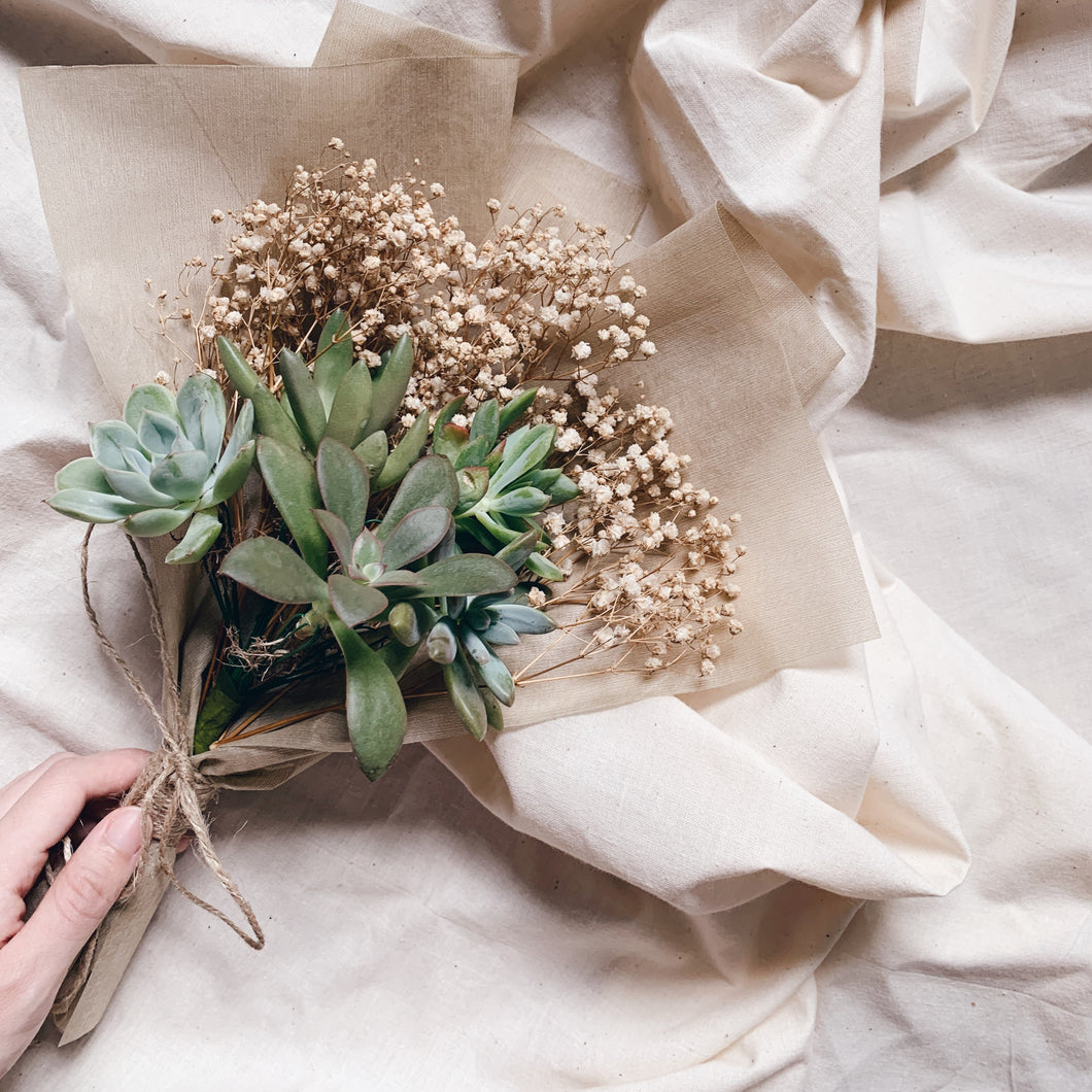 fall succulent bouquet Evergreen Succulent Bouquet