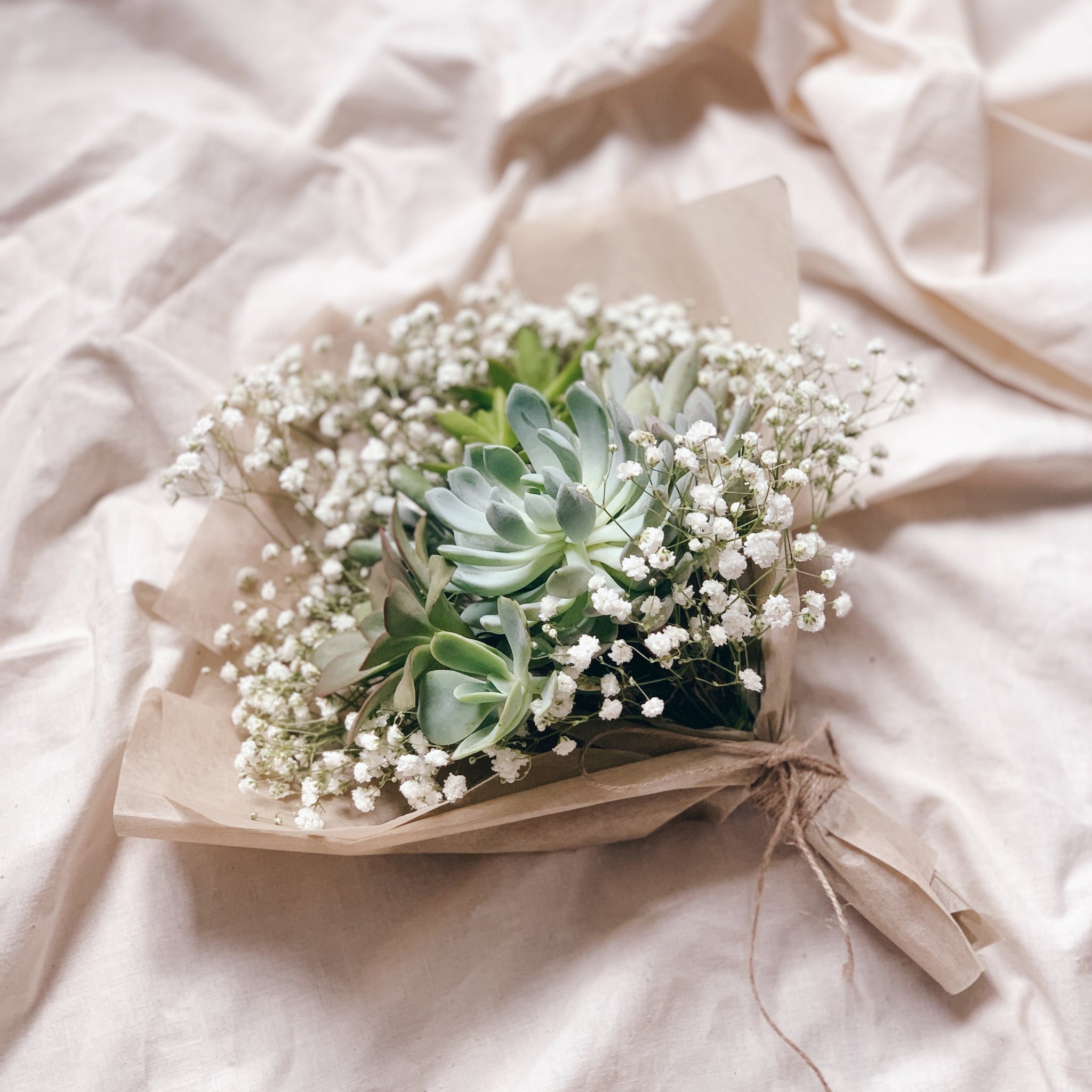 small succulent bouquet Evergreen Succulent Bouquet