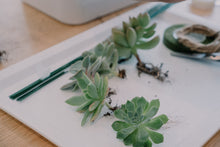 Load image into Gallery viewer, Succulent Bouquet Making Workshop
