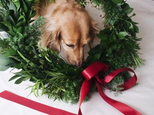 Sustainable Christmas Wreath